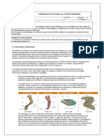 1° Biología Evidencias Evolutivas Otras Ciencias.