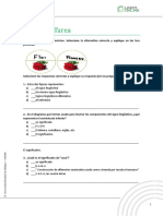 Anexo1 - Tarea