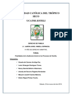 Finalidades de La Audiencia Inicial en Los Procesos de Familia