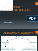 metabolismo-energc3a9tico-celular.pptx