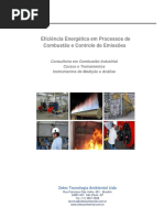 Zetec - Principais Atividades - 2019