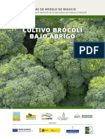 Cultivo de Brocoli Bajo Abrigo