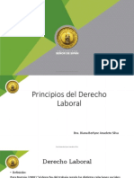 Derecho Laboral