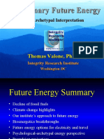 Future Energy Evolution - Thomas Valone, 2010