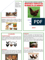 Diptico D Ela Gallina