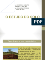 O Estudo Do Solo PDF