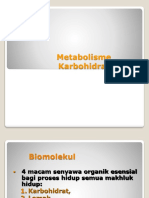 Metabolisme Karbihidrat