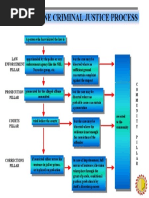 PCJS Process