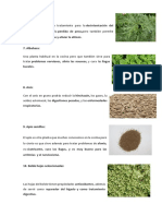 plantas medicinales 2.docx