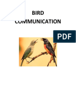 Bird Communication