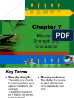 Muscle and Strength Endurance