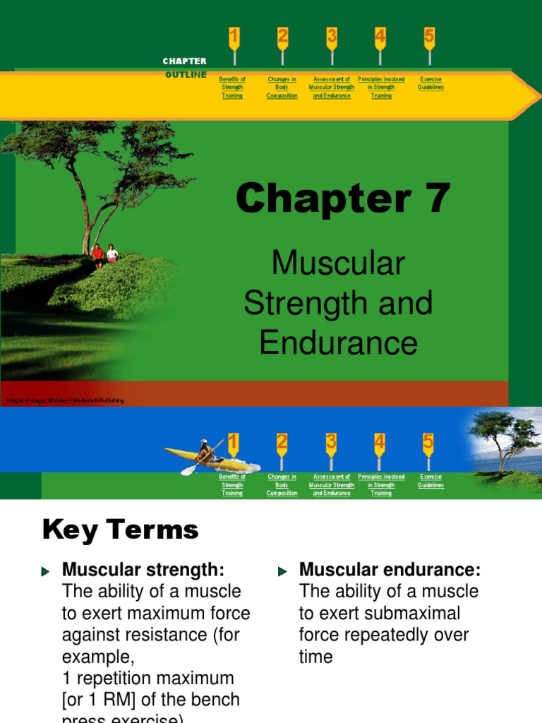 Strength Training Essentials | PDF | Strength Training | Weight Training