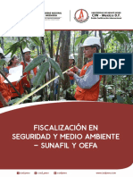 Fiscalizacion en La Seguridad y Medio Ambiente - Sunafil y Oefa Dossier 0