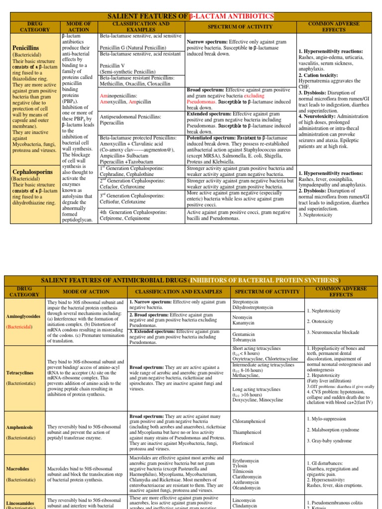 Antibiotic Summary | PDF | Penicillin | Beta Lactamase