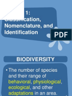Bio3: Classification Nomenclature Identification