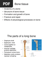 BONE Tissue