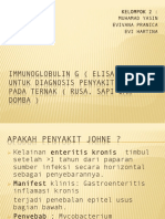 Diagnostik Immunoglobulin - Kel 2 - AK4 KR