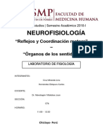 Neurofisiologia