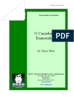 O Caçador de esmeraldas.pdf