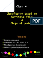 Class 4: Classification Based On Nutritional Value & Shape of Proteins