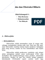 Hidrosefalus Dan Obstruksi Biliaris: Oleh Kelompok 8