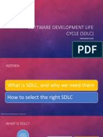 Software Development Life Cycle (SDLC) : Mohamed Sami