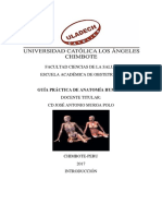 Guía Práctica de Anatomía Humana PDF