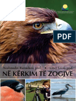 Ne Kerkim Te Zogjeve