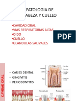 4 Dra Rodriguez Cabeza y Cuello