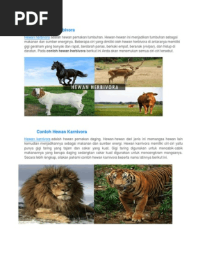 Contoh Hewan Herbivora