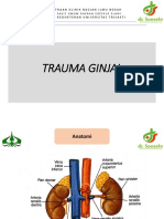 Trauma Ginjal & Ureter - Bedah Slawi