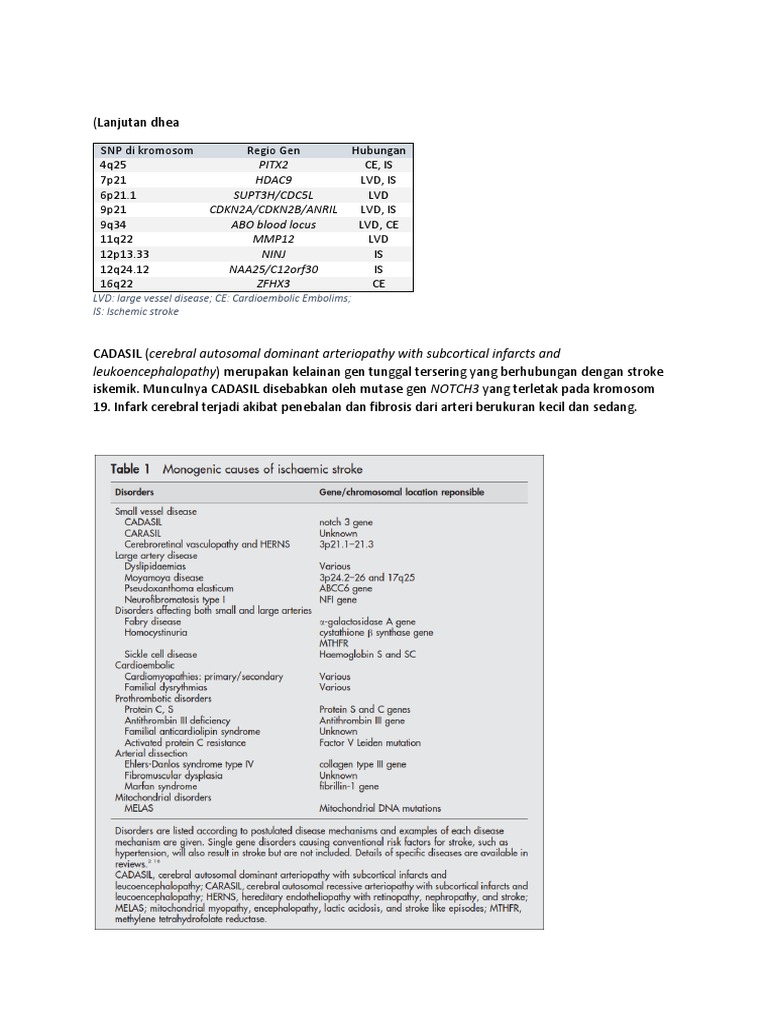 CADASIL | PDF