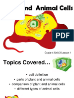 Grade 4 Unit 3 Lesson 1 Plant & Animal Cells PDF
