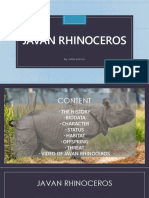Javan Rhino Species Critically Endangered