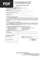 Relatório 3º Anos 2019 Eduarda