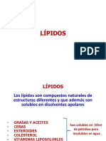 Lipidos