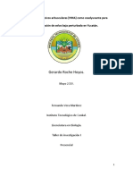 Empleo de Micorrizas Como Herramientas para Una Mejor Restauración en Un Parche de Selva Baja en Yucatán