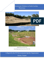 Stormwater White Paper Final Paper