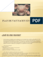 Plan de Vacunacin en Cerdos