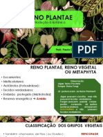 Reino Plantae