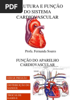ESTRUTURA E FUNÇÃO Do Sistema Cardiovascular