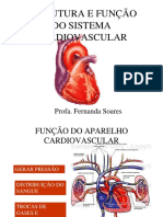 ESTRUTURA E FUNÇÃO Do Sistema Cardiovascular