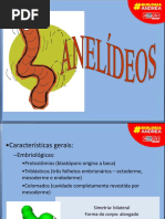 Anelideos 17