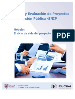 Perfil de Un Proyecto de Inversion Publica. Identificación PDF