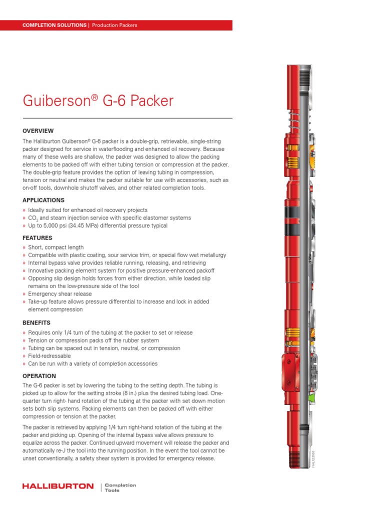 G 6 Packer H012699 | PDF | Pipe (Fluid Conveyance) | Chemical Engineering