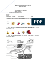 Eval. Diagnostica Cs. Nat. 1 - Basico