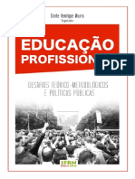 Desafios teórico-metodológicos e políticas públicas na Educação Profissional