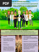 Cartilha Cannabis Terapeutica 