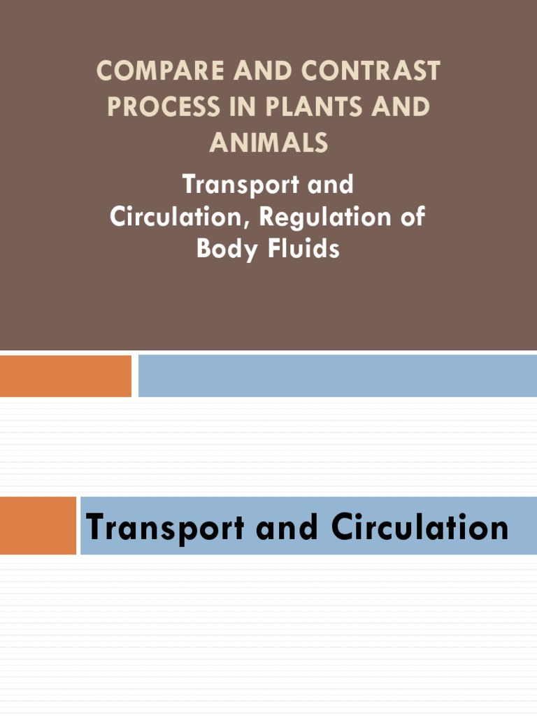 Compare And Contrast Process In Plants And Animals Transport and
