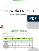 Consultoras ambientales en Perú